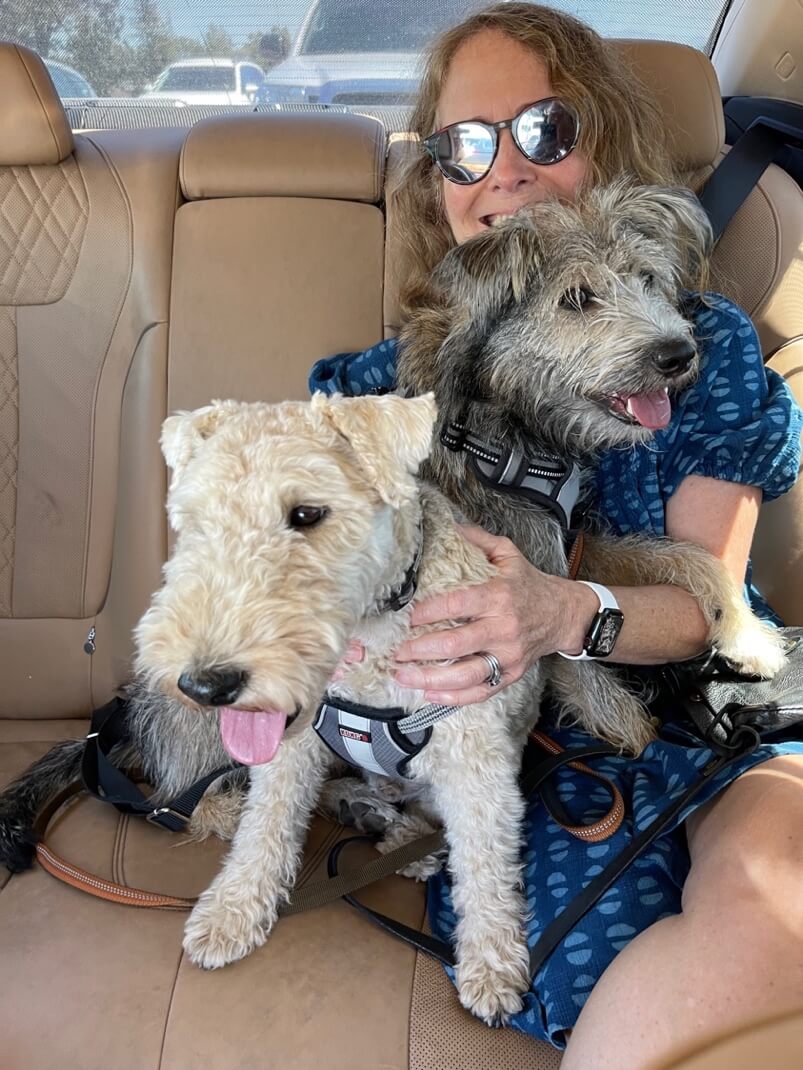 Tracy in the car with Charlie and Oscar